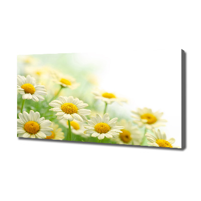 Cuadro canvas moderno de gran formato horizontal margaritas