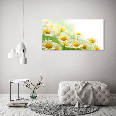 Cuadro canvas moderno de gran formato horizontal margaritas