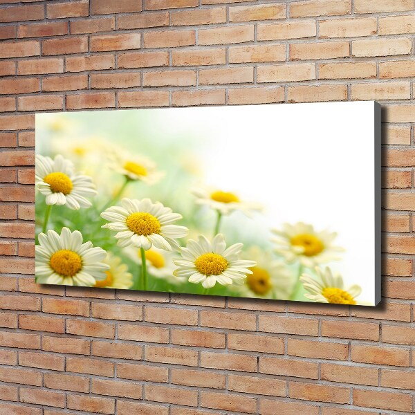 Cuadro canvas moderno de gran formato horizontal margaritas