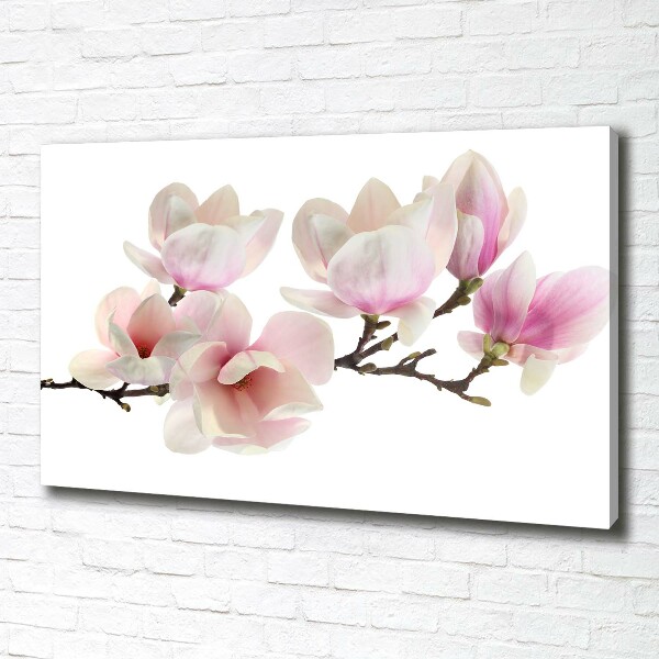 Foto obraz canvas Magnolia
