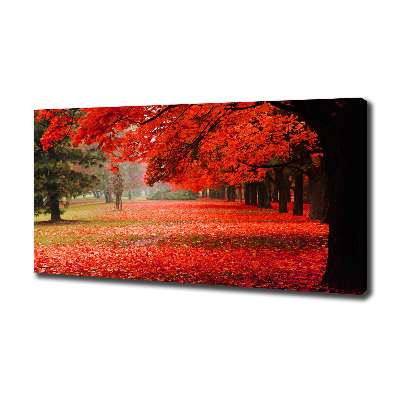Cuadro canvas con impresión uv duradera horizontal Árboles en otoño