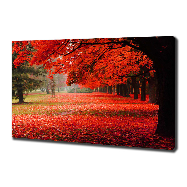 Cuadro canvas con impresión uv duradera horizontal Árboles en otoño