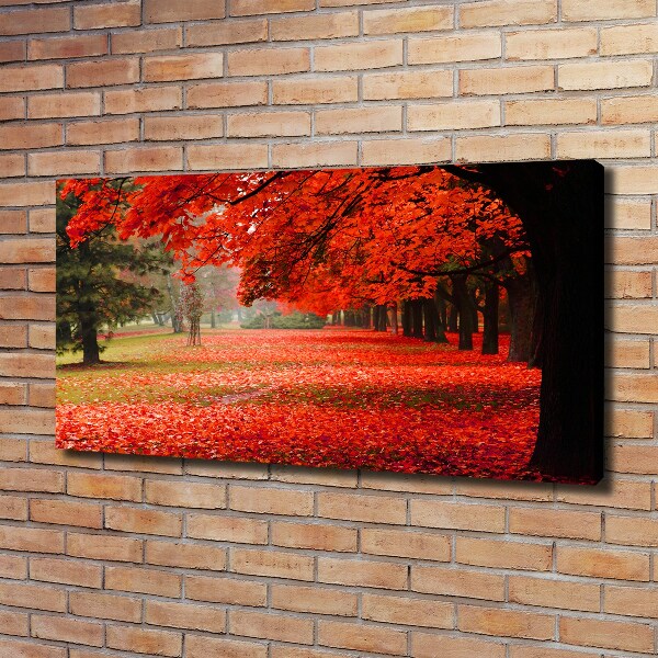 Cuadro canvas con impresión uv duradera horizontal Árboles en otoño