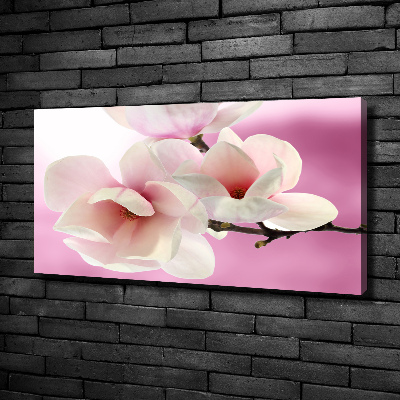 Foto obraz canvas Magnolia