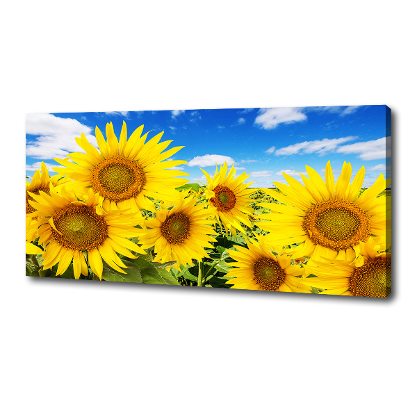 Fotocuadro en lienzo de alta calidad horizontal Girasoles