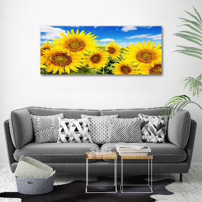 Fotocuadro en lienzo de alta calidad horizontal Girasoles