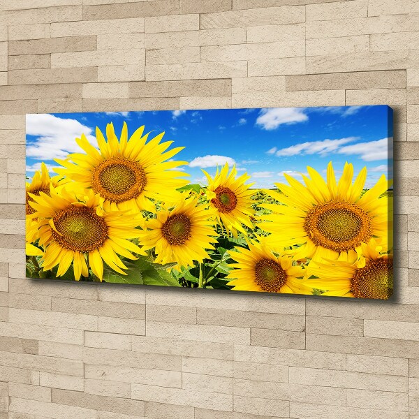 Fotocuadro en lienzo de alta calidad horizontal Girasoles