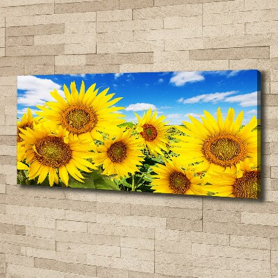 Fotocuadro en lienzo de alta calidad horizontal Girasoles