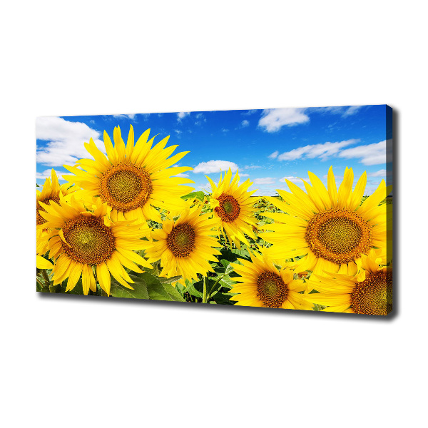 Fotocuadro en lienzo de alta calidad horizontal Girasoles