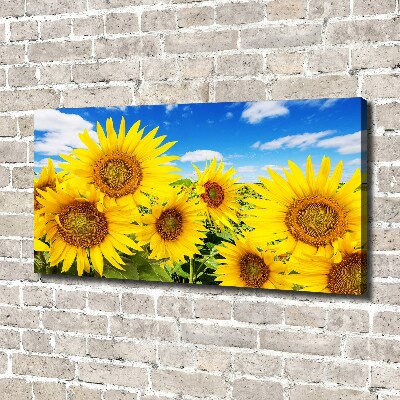 Fotocuadro en lienzo de alta calidad horizontal Girasoles