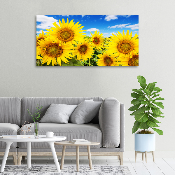 Fotocuadro en lienzo de alta calidad horizontal Girasoles