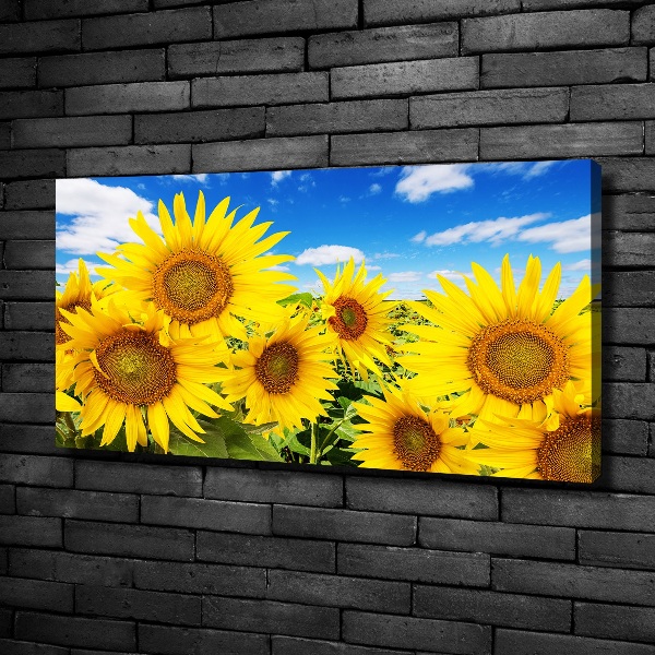 Fotocuadro en lienzo de alta calidad horizontal Girasoles