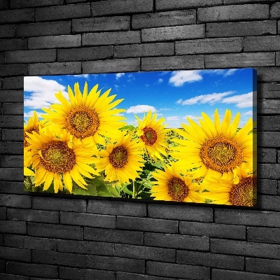 Fotocuadro en lienzo de alta calidad horizontal Girasoles