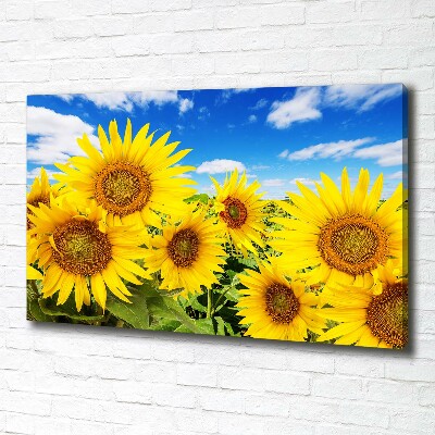 Fotocuadro en lienzo de alta calidad horizontal Girasoles