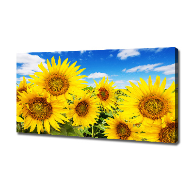 Fotocuadro en lienzo de alta calidad horizontal Girasoles