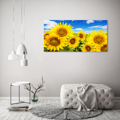 Fotocuadro en lienzo de alta calidad horizontal Girasoles