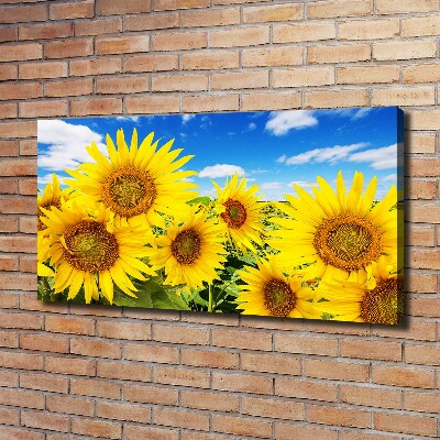 Fotocuadro en lienzo de alta calidad horizontal Girasoles