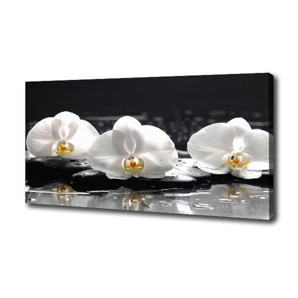 Cuadro canvas con impresión uv duradera horizontal Orquídea