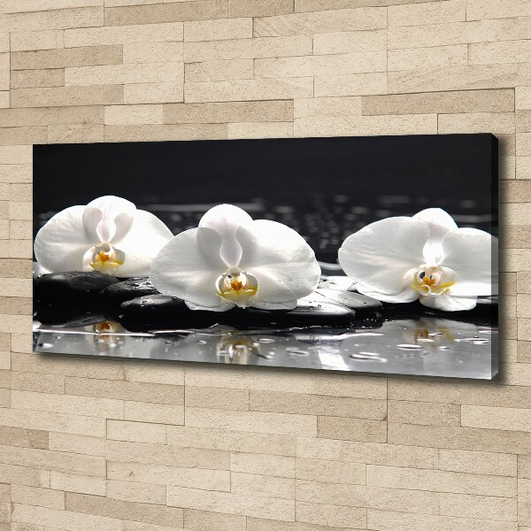 Cuadro canvas con impresión uv duradera horizontal Orquídea