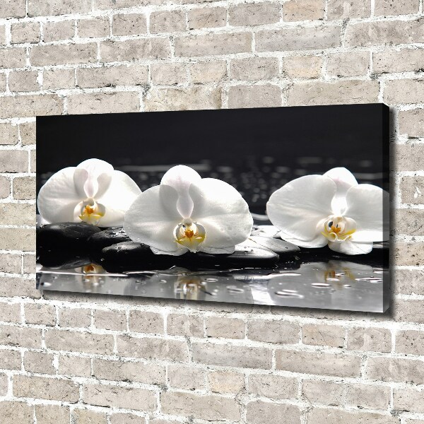 Cuadro canvas con impresión uv duradera horizontal Orquídea