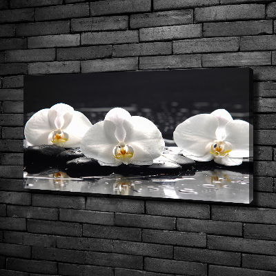 Cuadro canvas con impresión uv duradera horizontal Orquídea
