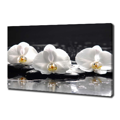 Cuadro canvas con impresión uv duradera horizontal Orquídea