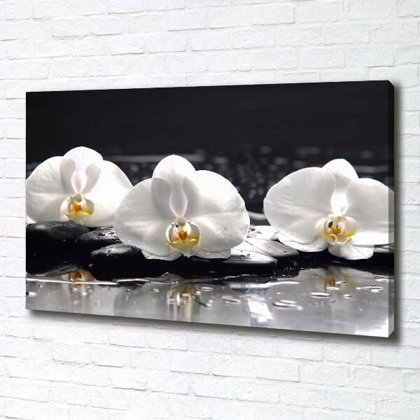 Cuadro canvas con impresión uv duradera horizontal Orquídea