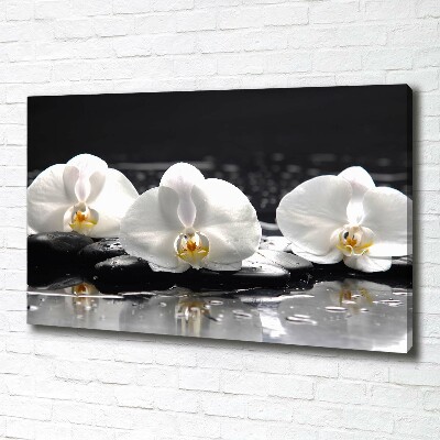 Cuadro canvas con impresión uv duradera horizontal Orquídea