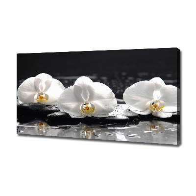 Cuadro canvas con impresión uv duradera horizontal Orquídea