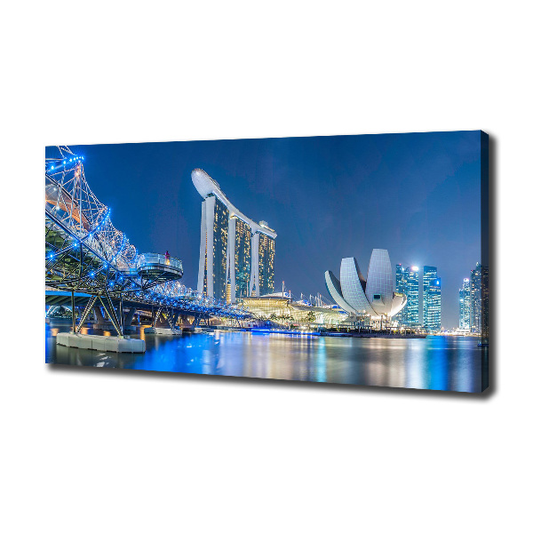 Cuadro canvas moderno de gran formato horizontal Singapur de noche