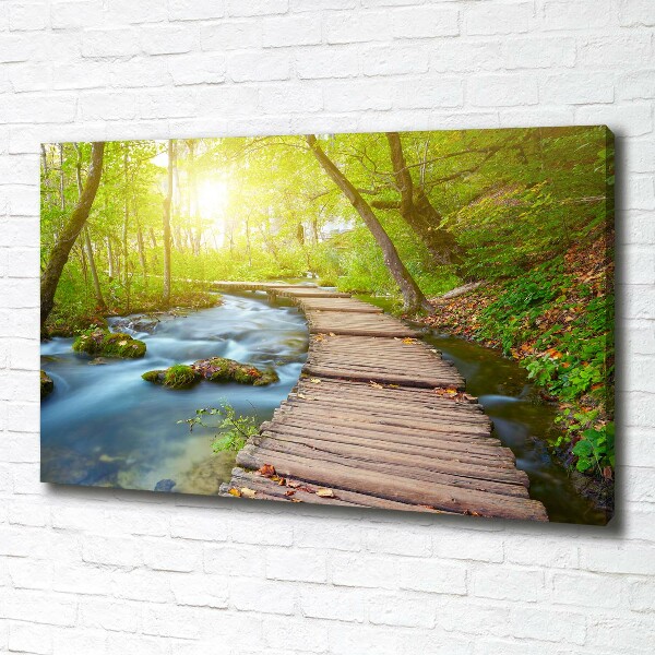 Cuadro canvas con impresión uv duradera horizontal Camino en el bosque