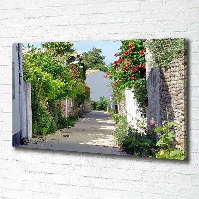 Cuadro canvas moderno de gran formato horizontal Callejón florido