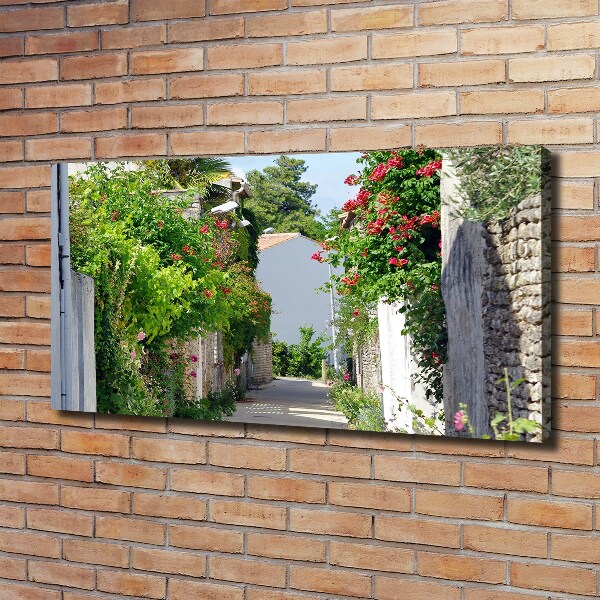 Cuadro canvas moderno de gran formato horizontal Callejón florido