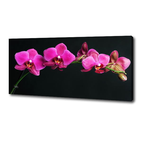 Cuadro canvas con impresión uv duradera horizontal Orquídea