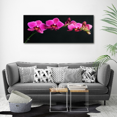 Cuadro canvas con impresión uv duradera horizontal Orquídea