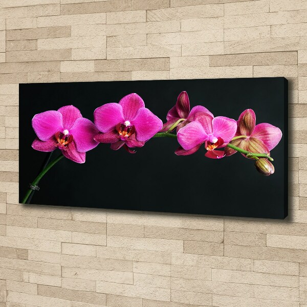 Cuadro canvas con impresión uv duradera horizontal Orquídea