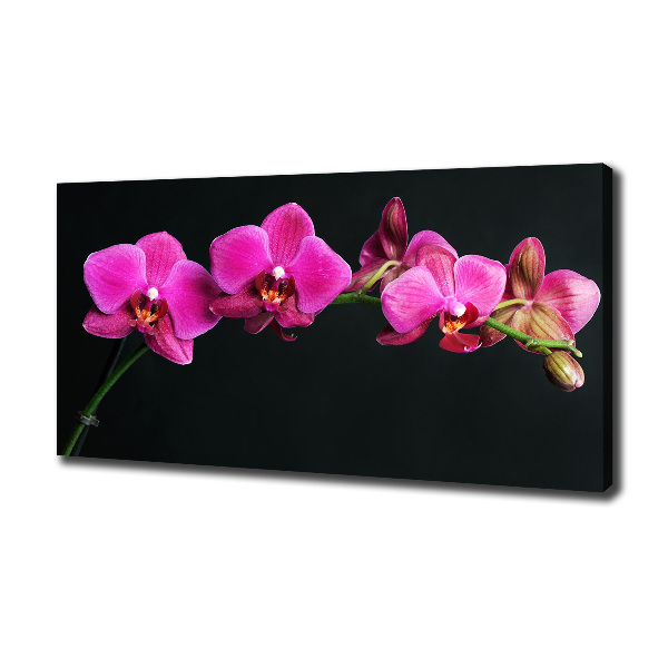 Cuadro canvas con impresión uv duradera horizontal Orquídea