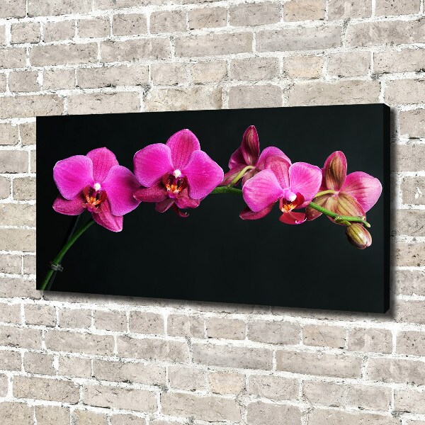 Cuadro canvas con impresión uv duradera horizontal Orquídea