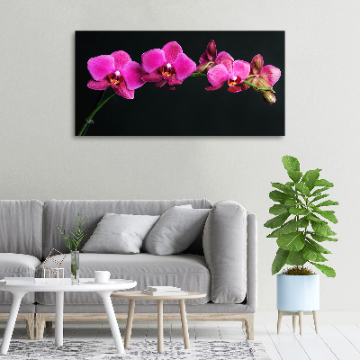 Cuadro canvas con impresión uv duradera horizontal Orquídea