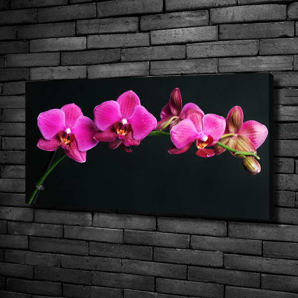 Cuadro canvas con impresión uv duradera horizontal Orquídea