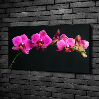 Cuadro canvas con impresión uv duradera horizontal Orquídea