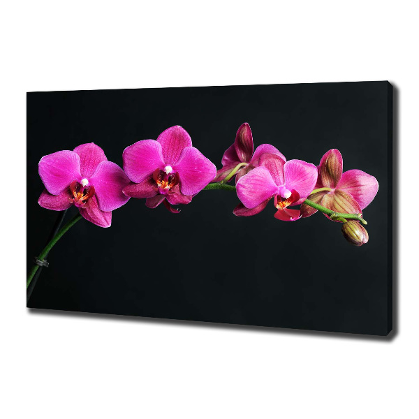 Cuadro canvas con impresión uv duradera horizontal Orquídea