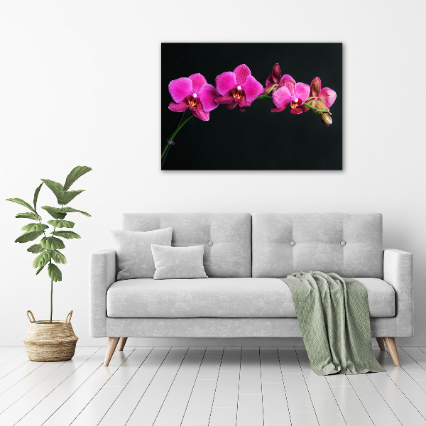 Cuadro canvas con impresión uv duradera horizontal Orquídea