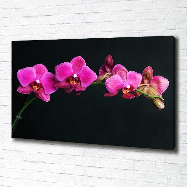 Cuadro canvas con impresión uv duradera horizontal Orquídea