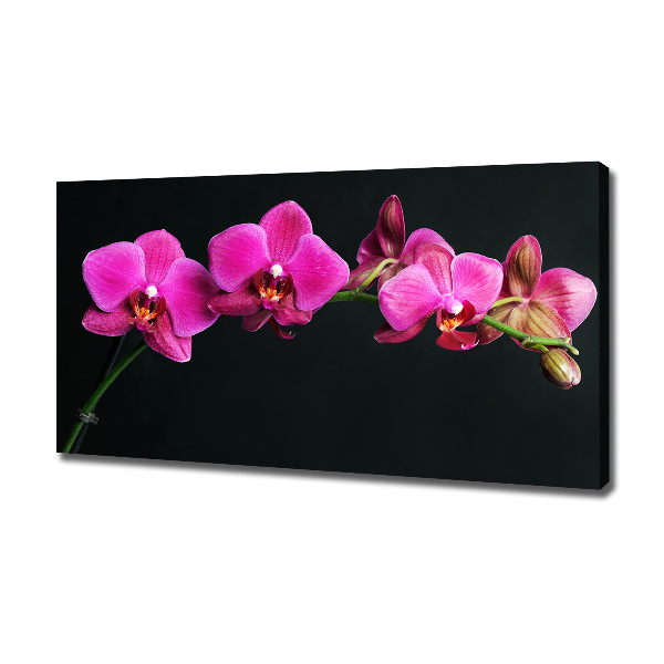 Cuadro canvas con impresión uv duradera horizontal Orquídea