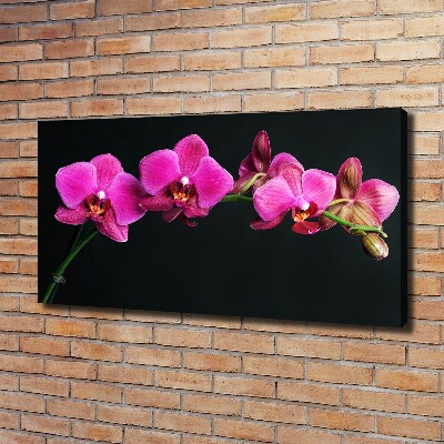 Cuadro canvas con impresión uv duradera horizontal Orquídea