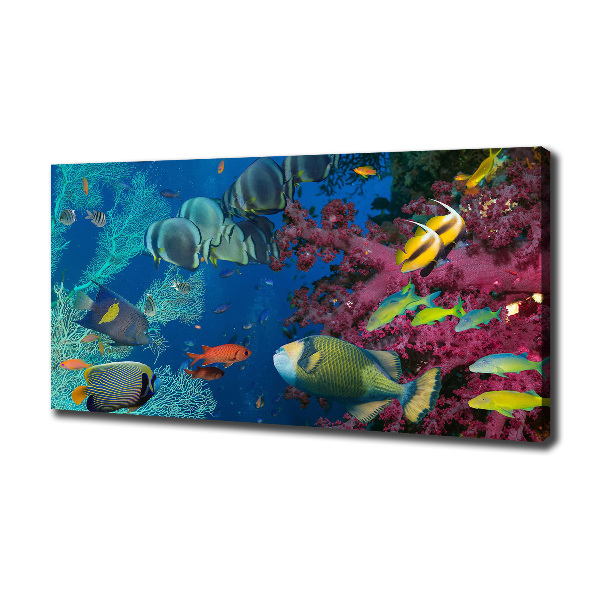 Cuadro canvas moderno de gran formato horizontal Arrecife de coral