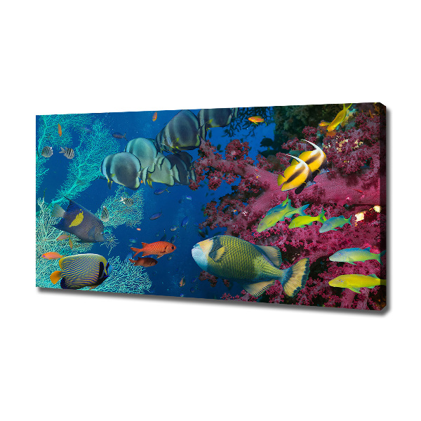 Cuadro canvas moderno de gran formato horizontal Arrecife de coral