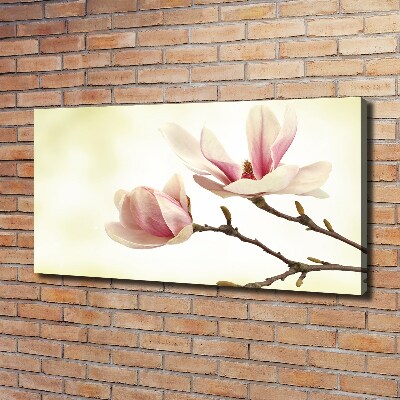 Foto obraz canvas Magnolia