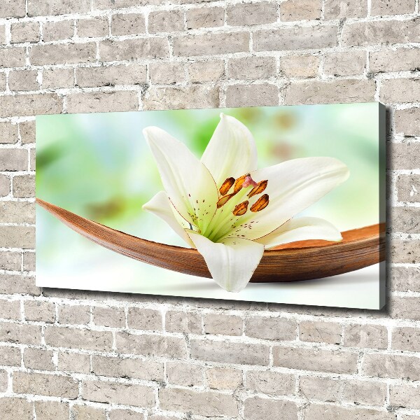 Cuadro canvas con impresión uv duradera horizontal Lirio